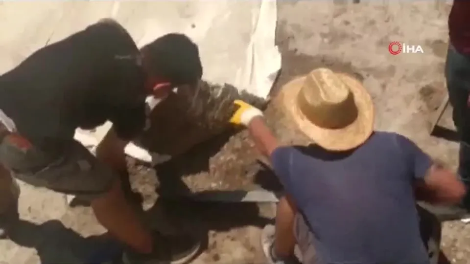 Şans eseri fark etti! Evinin avlusundan hazine çıktı