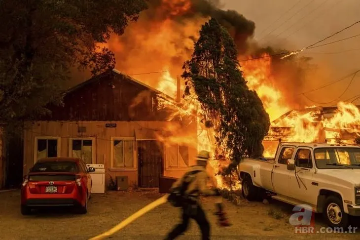 ABD’de dev orman yangını! 85 kilometrekarelik alan alevlere teslim