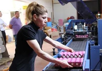 Bandırma'da saniyede 29 yumurta üretiliyor