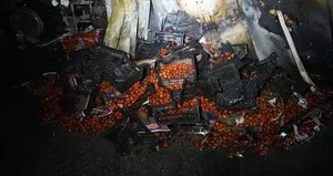 Domates yüklü TIR yanarak hurdaya döndü