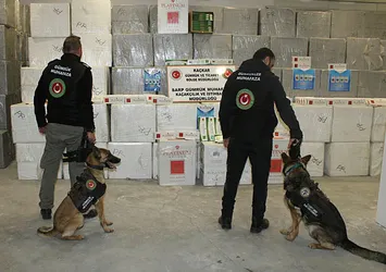 Kaçak sigaralar sınırda yakalandı