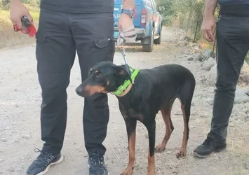 Korhan Berzeg'i arama çalışmaları 77. gününde! Tina sahibini arıyor: Sabahın ilk ışıklarıyla çalışmalar başladı