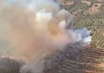 Balıkesir'de korkutan orman yangını! Ekiplerin müdahalesi ile alevler kontrol altında