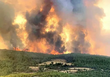 Aydın'da çıkan yangın Muğla'ya sıçradı: 3 mahalleye giden yol kapandı