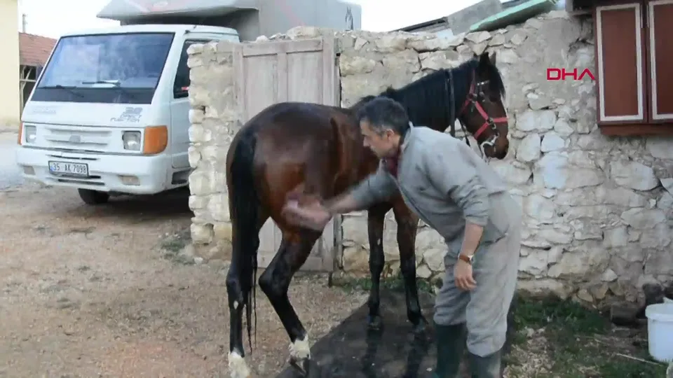 Psikolojisi bozulan ata, kaynak yapıldı