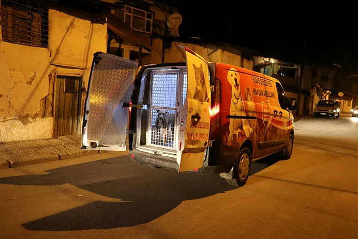 İhbar sonrası olay yerine giden polis ve bekçiye pitbull saldırdı - 1