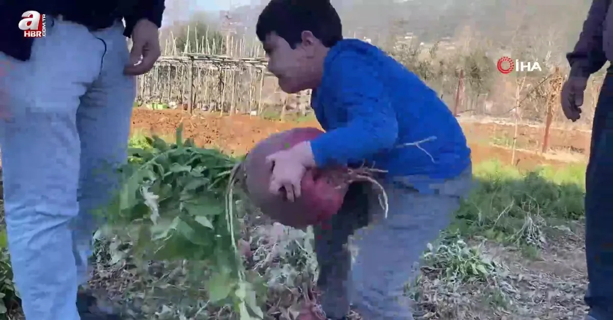 Osmaniye'de hayrete düşüren olay! Emekli öğretmen bahçesinde yetiştirdi