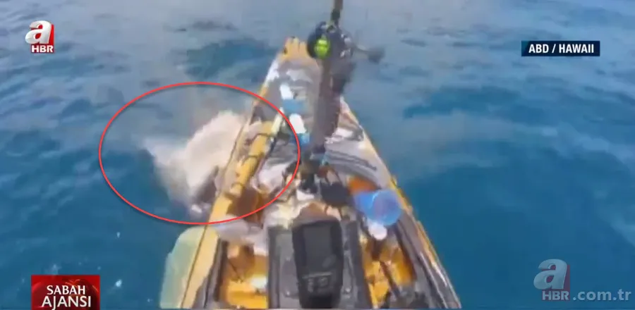 Balık tutan adama köpek balığı saldırdı! Korkunç anlar kamerada 3