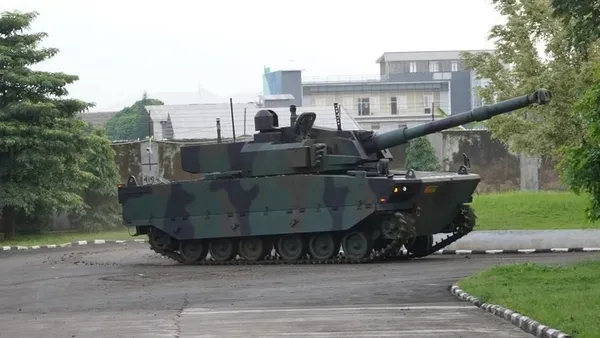 Yunanistan’ın gündemi Kaplan! Önemli bir noktaya dikkat çektiler