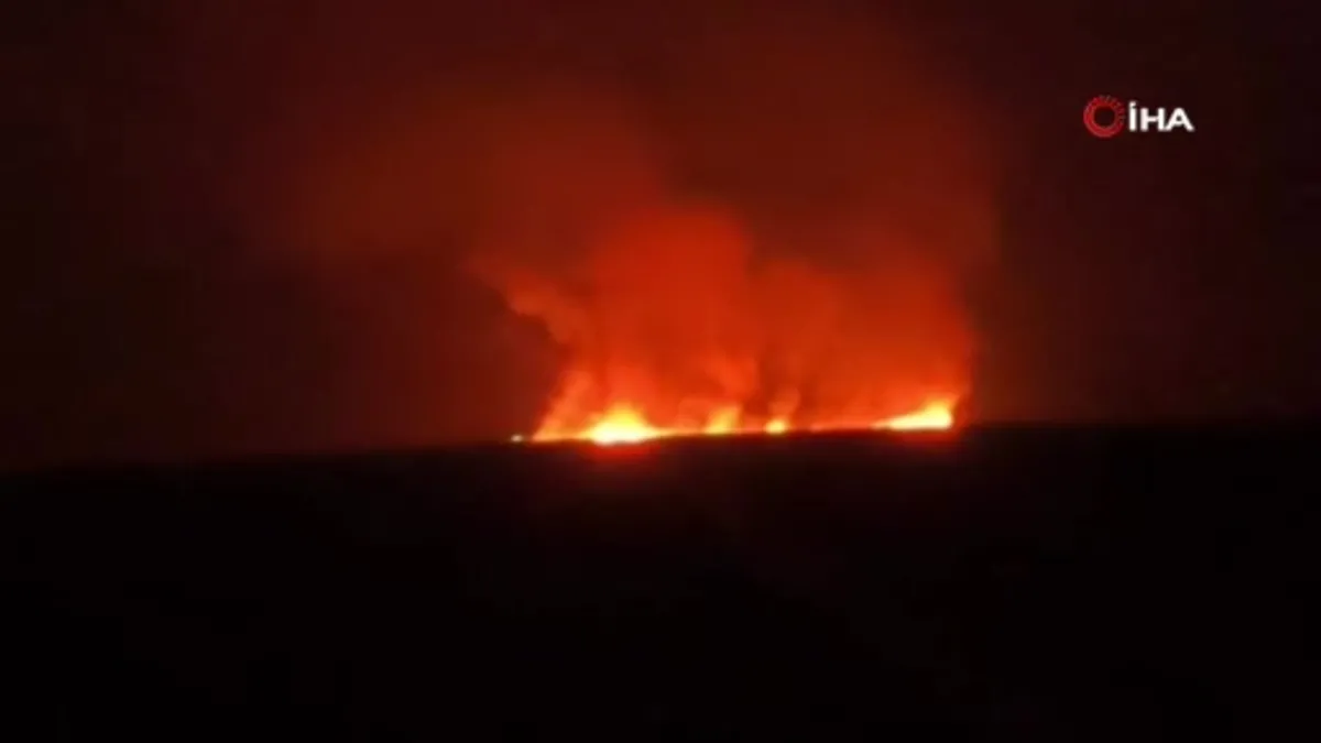 Hakkari’de kuş cennetinde korkutan yangın
