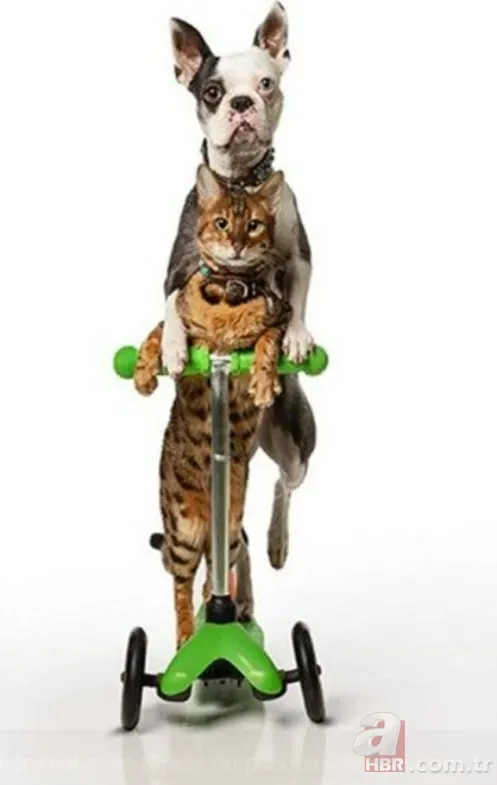 Saçıyla öyle bir şey yaptı ki dünya rekoru kırdı! Guinness Rekorlar Kitabı 2022 yayımlandı 10