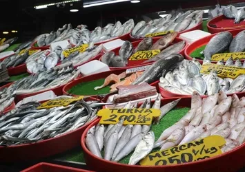 Balık tüketimi kış depresyonunu önlüyor!