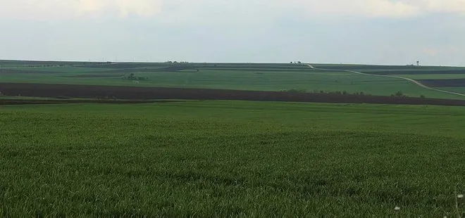 Rekabet Kurumu’nun raporu fahiş fiyatların içyüzünü ortaya koydu! Kar aracıda çile üreticide