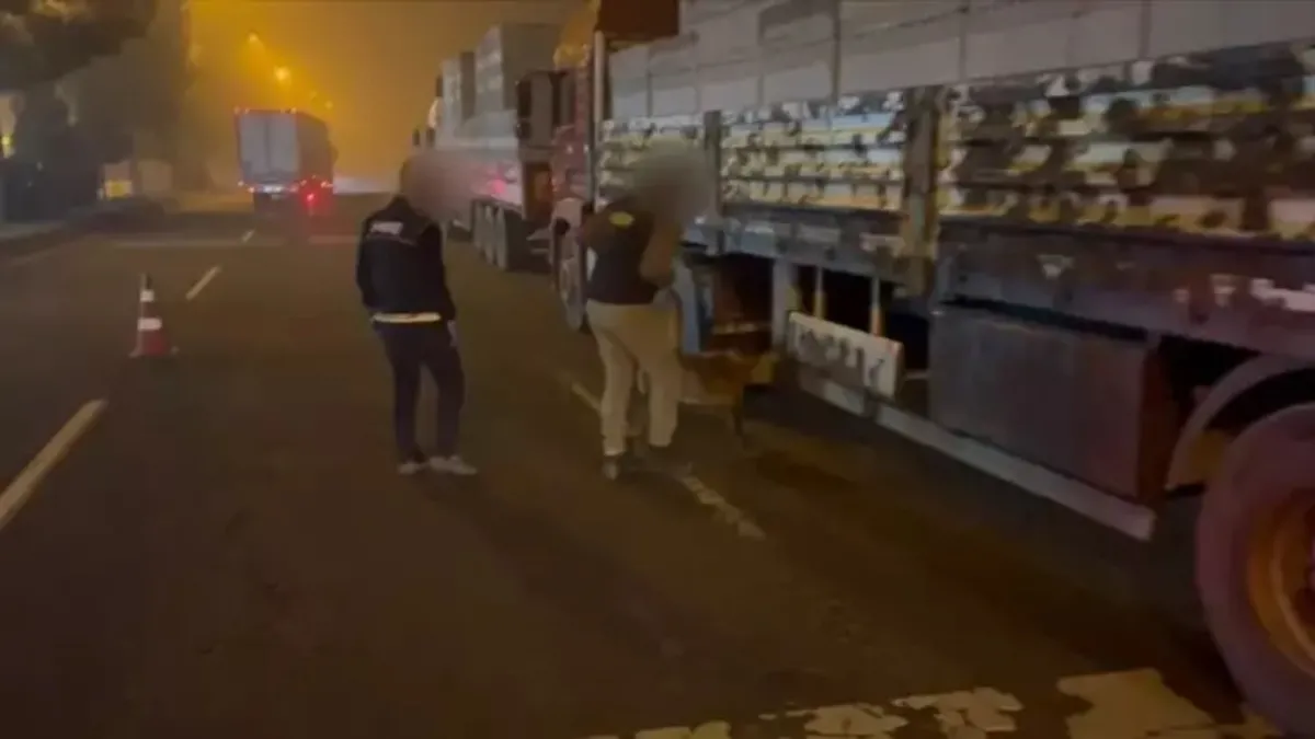 TIR'daki uyuşturucuyu narkotik köpeği 'Linda' buldu