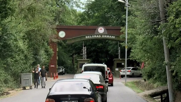İstanbullular Belgrad Ormanı’na akın etti! Araç yoğunluğu dikkat çekti