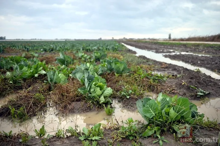 Mersin’de sağanak tarım alanlarına zarar verdi