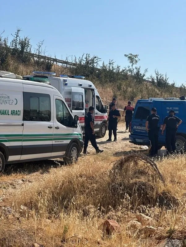 Gaziantep’te vahşet! Köpekler tarafından parçalanmış bebek cesedi bulundu