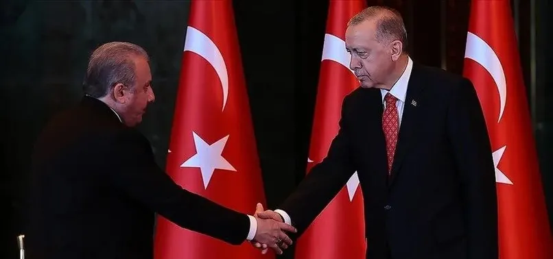 Başkan Erdoğan TBMM Başkanı Mustafa Şentop ile görüştü