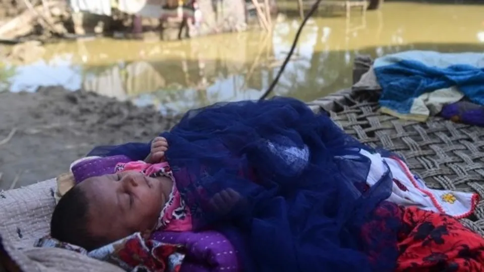 Pakistan felaketi yaşıyor! Yüzlerce kişi öldü 33 milyon kişi yerinden oldu