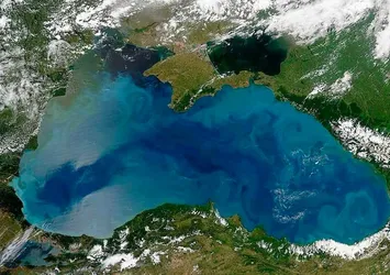 Karadeniz'de küresel ısınma tehlikesi! Bilim insanlarından 14 yıl rapor: Ölüyor