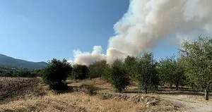 Ankara’da bir orman yangını daha