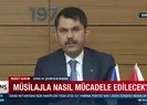 Deniz salyasıyla mücadele