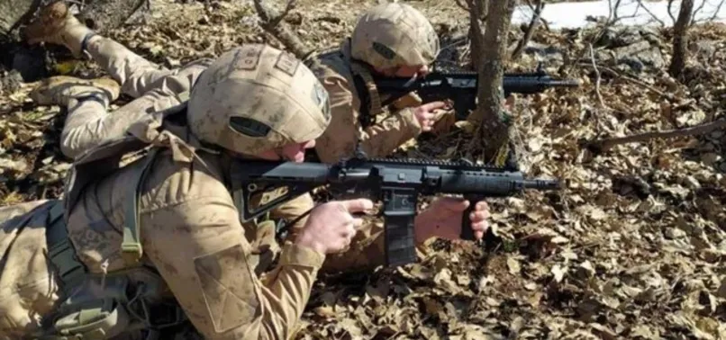 Mardin kırsalında devam eden operasyonlarda 2 terörist etkisiz hale getirildi