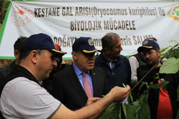 zonguldakta-gal-arisi-tehlikesine-karsi-bin-20-terminator-bocek-dogaya-birakildi-1652941881876.jpg Zonguldak’ta gal arısı tehlikesine karşı bin 20 terminatör böcek doğaya bırakıldı - 4