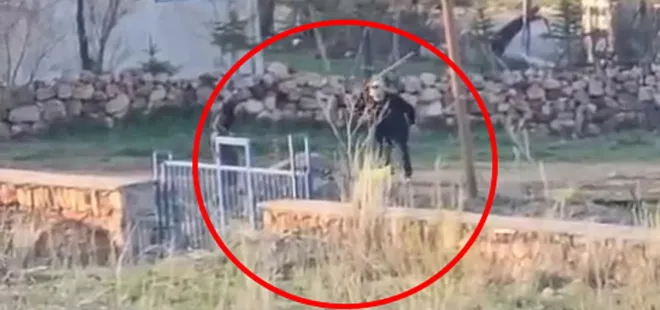 Sopalı şiddete uğrayan eşek öldü