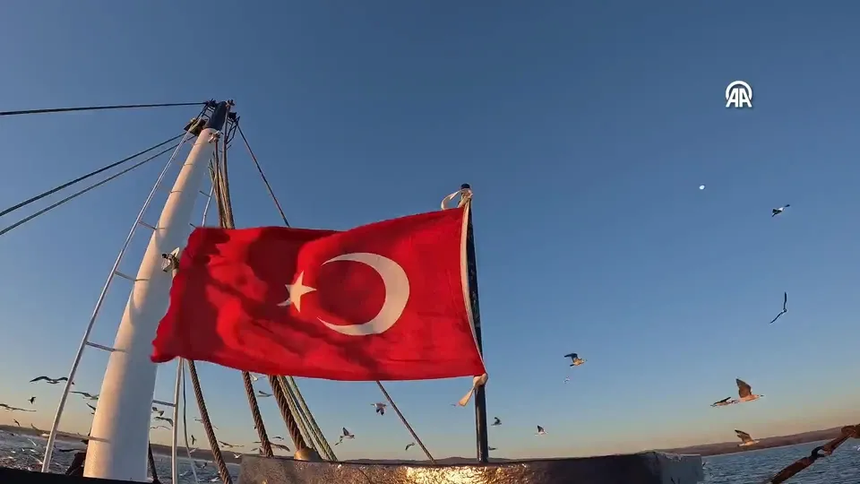 Martıların yiyecek bulma telaşı böyle görüntülendi