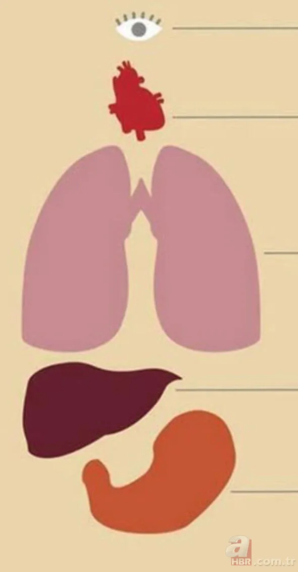 Hayat kurtaran teknolojik ipuçları! Kimse bu işe yaradığını bilmiyordu... 40