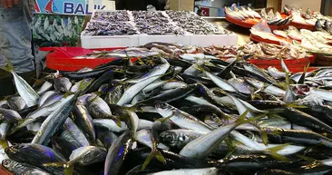 Tezgahlarda hamsi bolluğu yaşanıyor! İşte yeni fiyatı