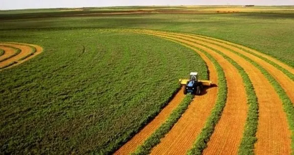 Tarım ve Orman Bakanı Bekir Pakdemirli'den e-Tarım müjdesi! - 1
