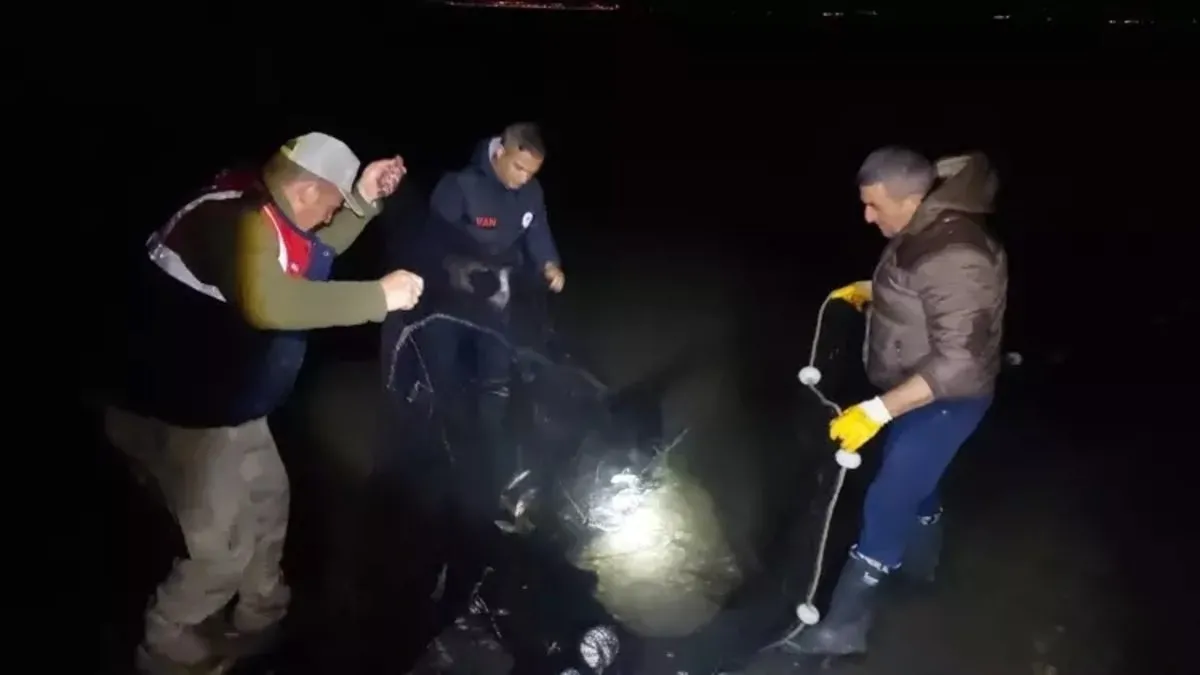 Van'da ekipler kaçak avcılara göz açtırmıyor 30 ton inci kefali