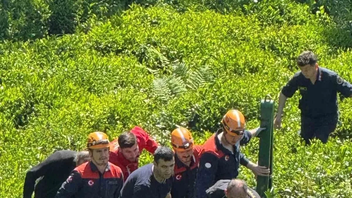 Giresun'da yamaçtan yuvarlanan kişi yaralandı