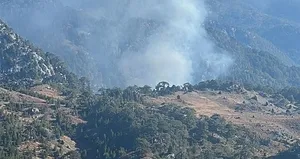 Köyceğiz’de orman yangını kontrol altında!