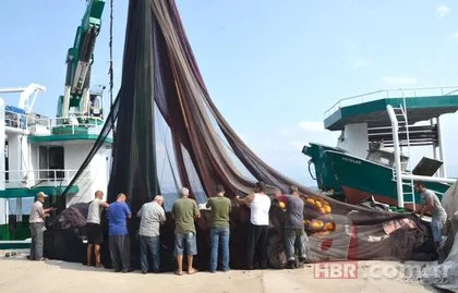 Kocaeli ve Düzce’de balıkçılar yeni sezona hazır!