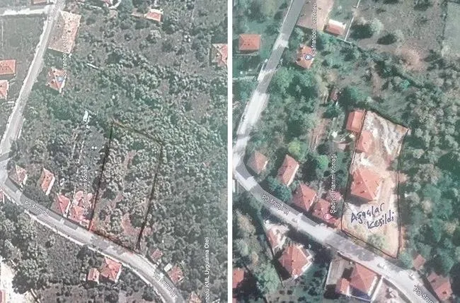 CHP’li Elif Köse’den sahte raporla kuzene kaçak villa kıyağı