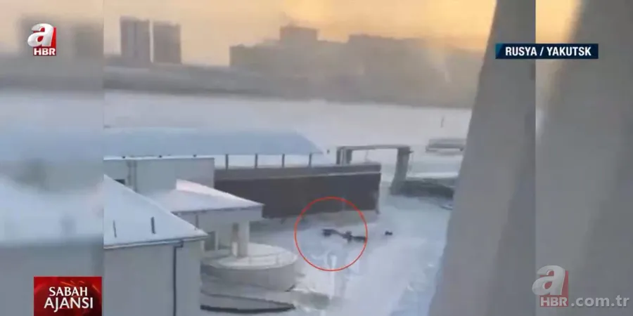 Köpekler aniden etrafını sardı! Dakikalarca ölüm kalım mücadelesi verdi ama... 1