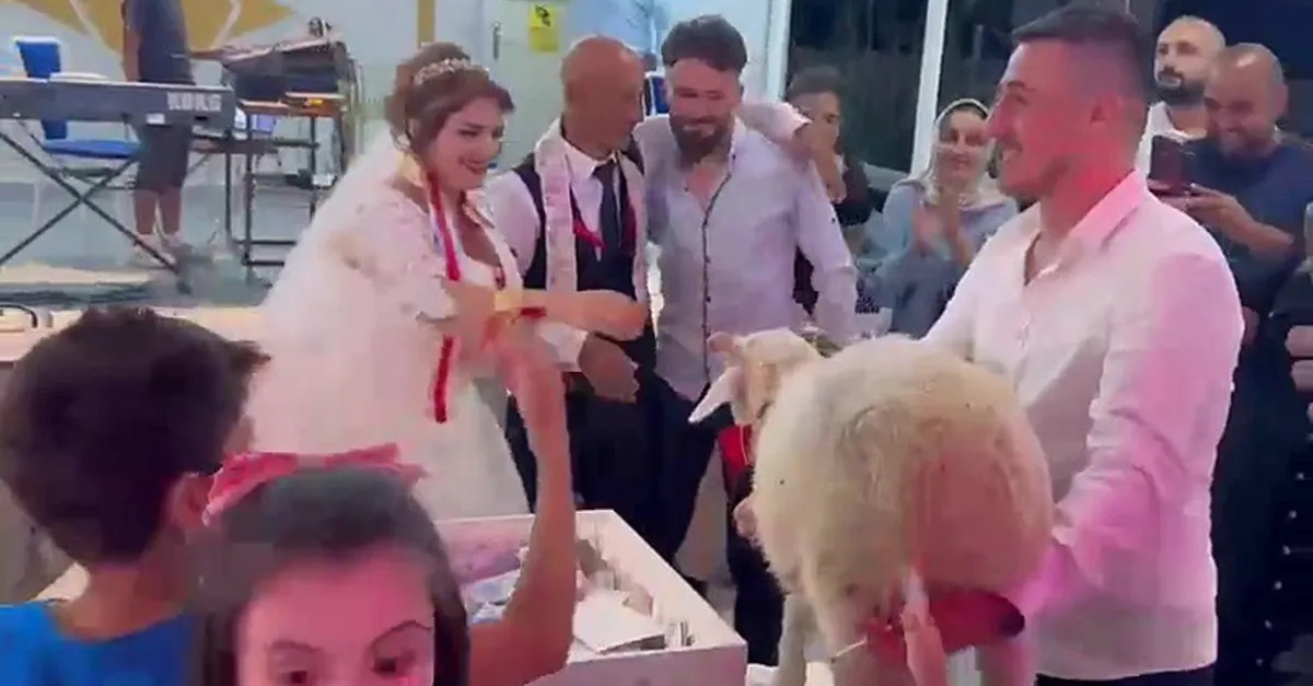 Damadın arkadaşından takı yerine ilginç hediye! Gören telefona sarıldı