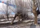 Besicilikte yenilikçi yöntem!
