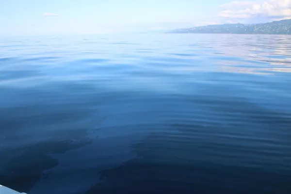 Doğu Karadeniz'de yeni petrol heyecanı! Çayeli'nde deniz üzerindeki maddenin petrol olduğu raporlandı - 7
