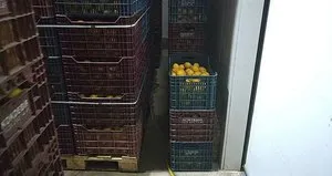 Limon çiftçide 1,5 lira tezgahta 20 TL!