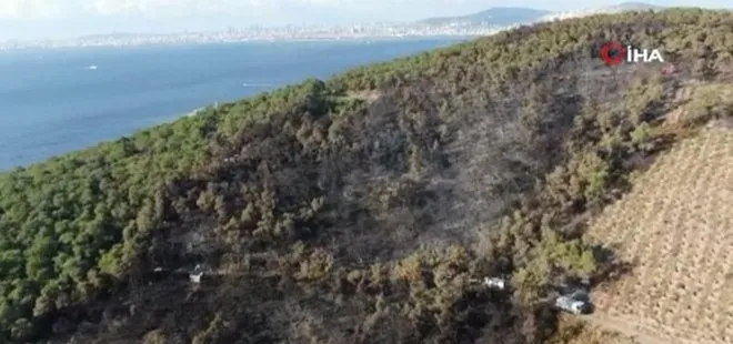 İstanbul Heybeliada’da yangının bıraktığı hasar havadan görüntülendi