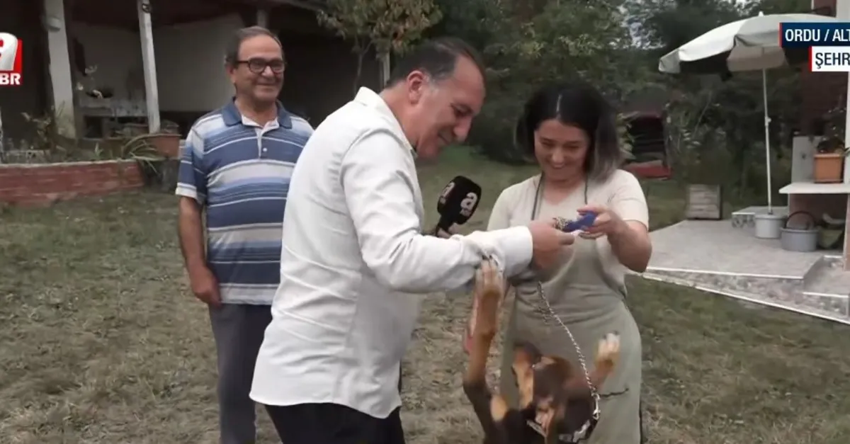 Şehre Yakın Dedeli Mahallesi’nde
