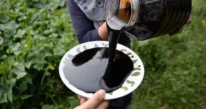 Sabahları aç karnına 1 kaşık tüketin: Hangi pekmez neye faydalı?