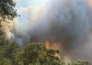 CANLI | Ciğerlerimiz yanıyor! | Birçok noktada alevlerle mücadele! İzmir'de yerleşim yerleri alev tehdidi altında