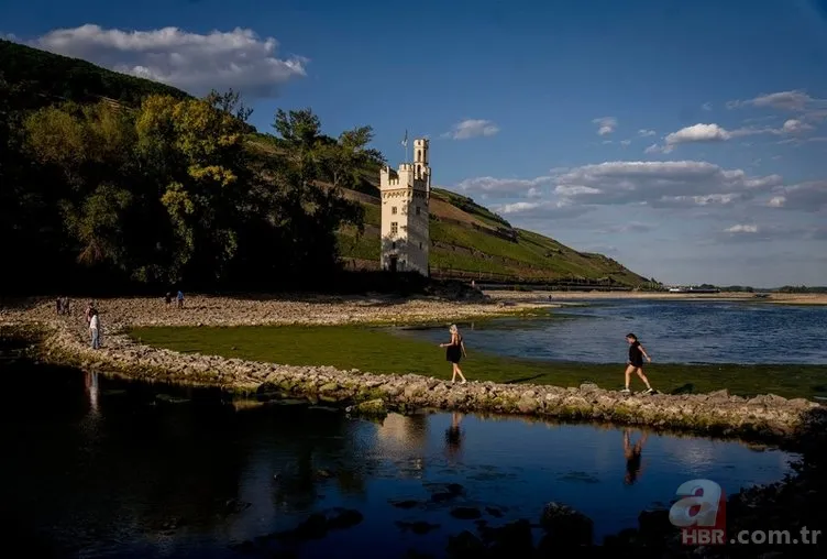 Avrupa'da 500 yılın kuraklığı! Dünya korkuyla izliyor 5