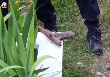 Samsun'da mezarlıktan silah çıktı
