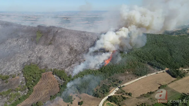 Bursa Yenişehir'de korkutan orman yangını! 9